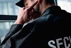 Поисково-досмотровые системы Поисково-досмотровые системы